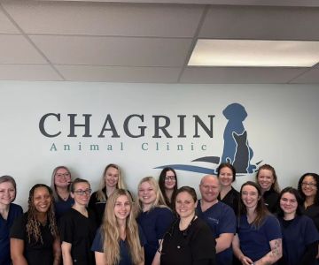 Chagrin Animal Clinic Inc