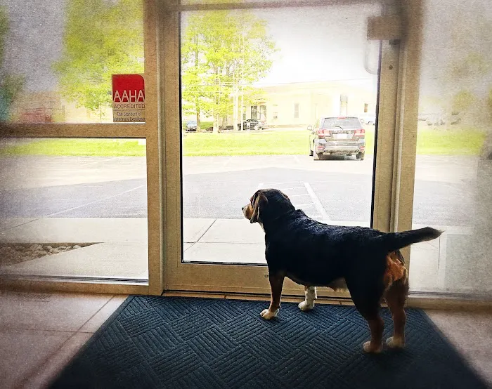 Chagrin Animal Clinic Inc 7