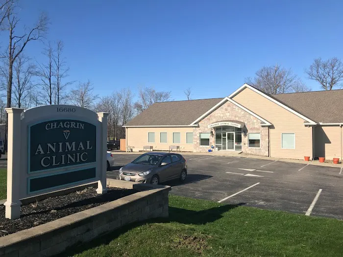 Chagrin Animal Clinic Inc 10