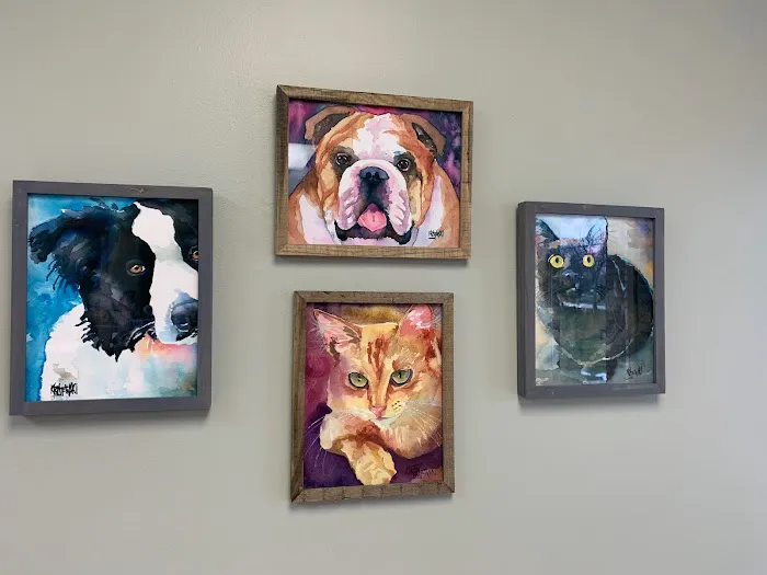 TLC Pet Hospital 4