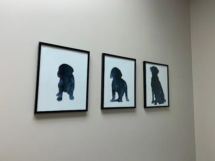 TLC Pet Hospital 3
