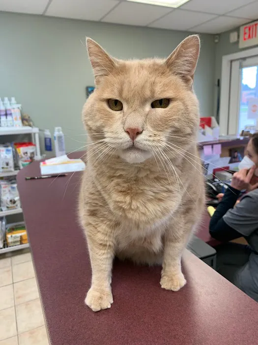 TLC Pet Hospital 6