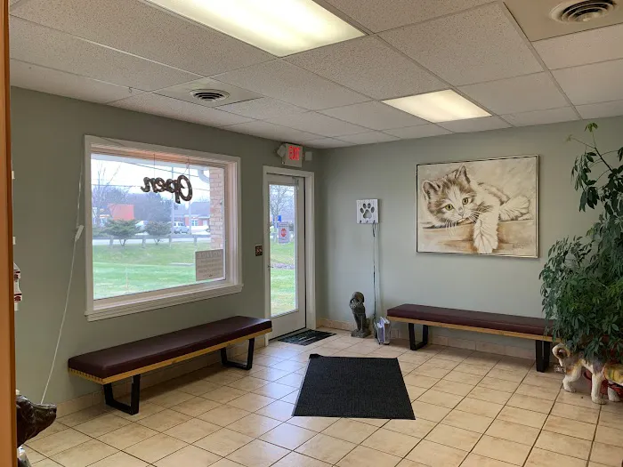 TLC Pet Hospital 7