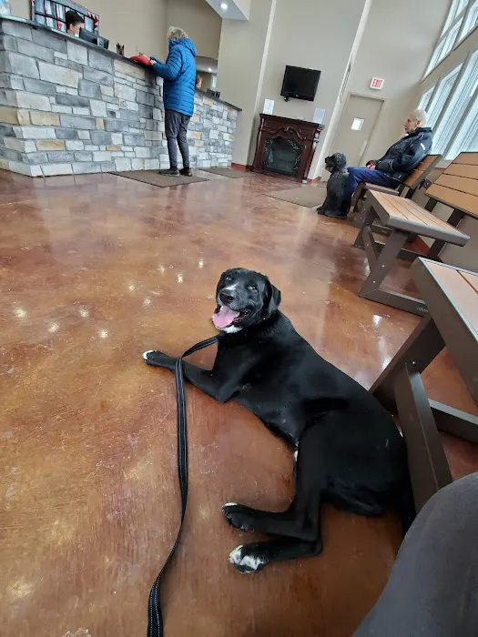 Silvercreek Veterinary Clinic 8