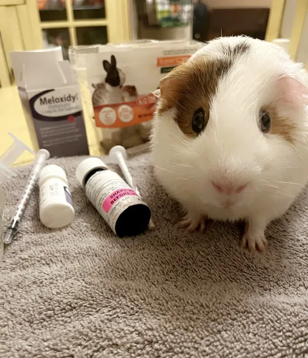 Metropolitan Veterinary Hospital Cleveland 3