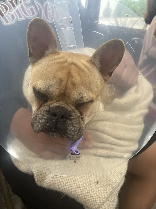 Metropolitan Veterinary Hospital Cleveland 6