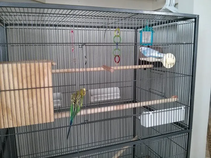 Lakeland Animal Clinic 7