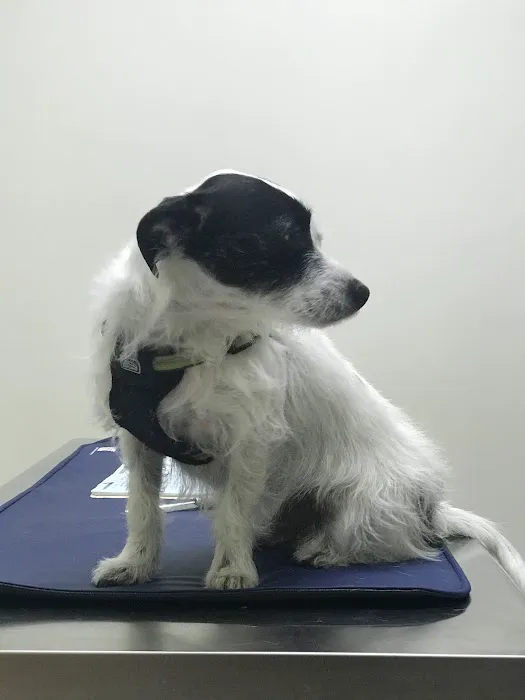 Lakeland Animal Clinic 5