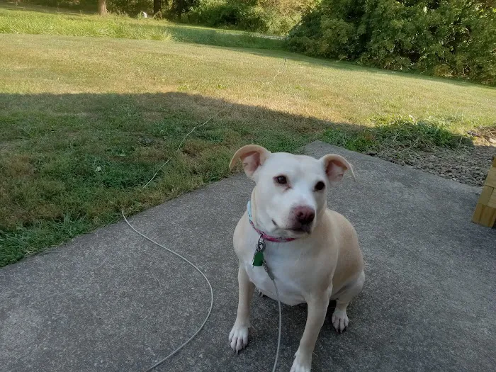 Rootstown Veterinary Hospital 1
