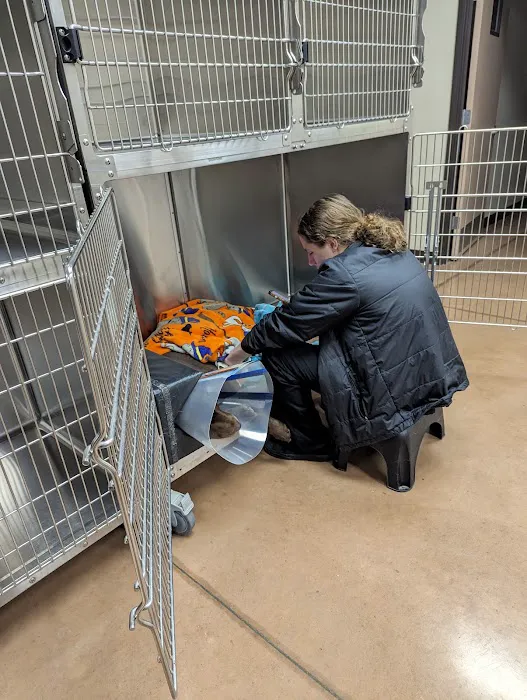 Rootstown Veterinary Hospital 6