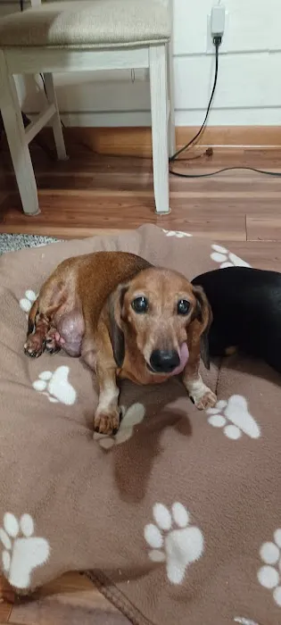 Best Friends Animal Clinic 1