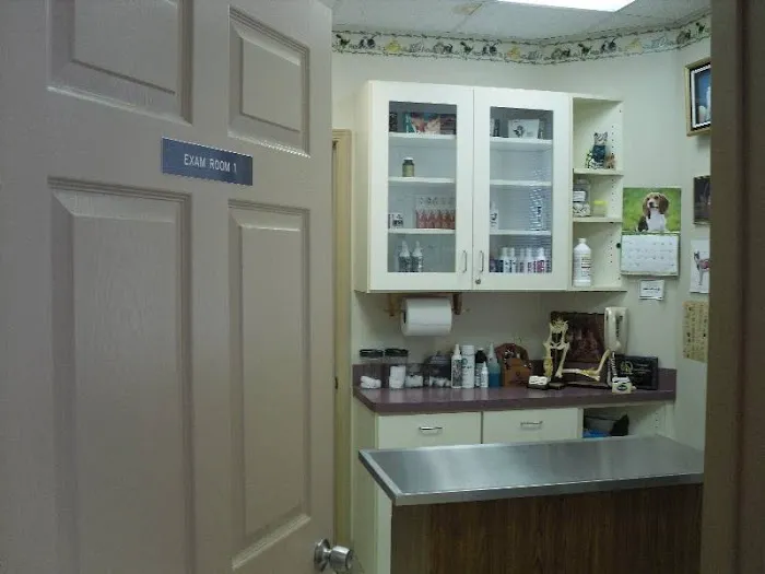 LoveNCare Animal Hospital 1