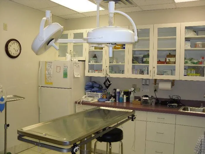 LoveNCare Animal Hospital 3