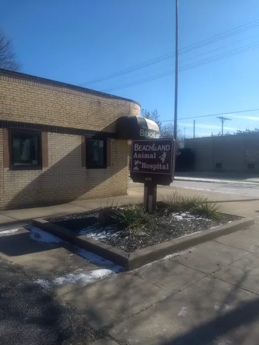 Beachland Animal Hospital 6