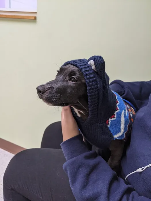 Beachland Animal Hospital 9