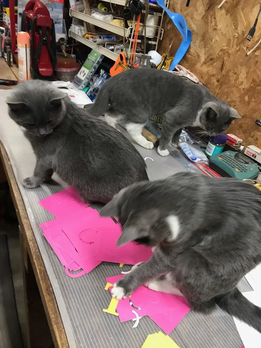 PetFix Northeast Ohio 10