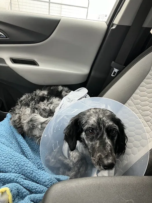 PetFix Northeast Ohio 2