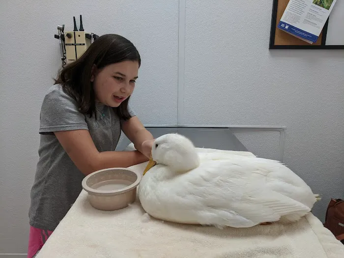Canton Veterinary Clinc- Palmyra 10