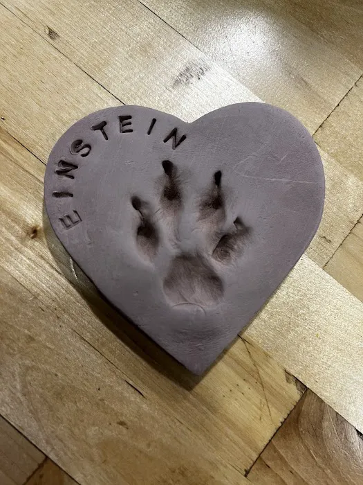 Canton Veterinary Clinc- Palmyra 5