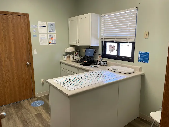 VCA Advanced Animal Hospital 8