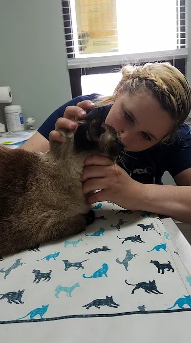 VCA Advanced Animal Hospital 7