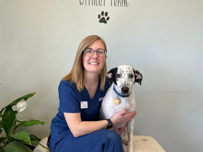 VCA Advanced Animal Hospital 10