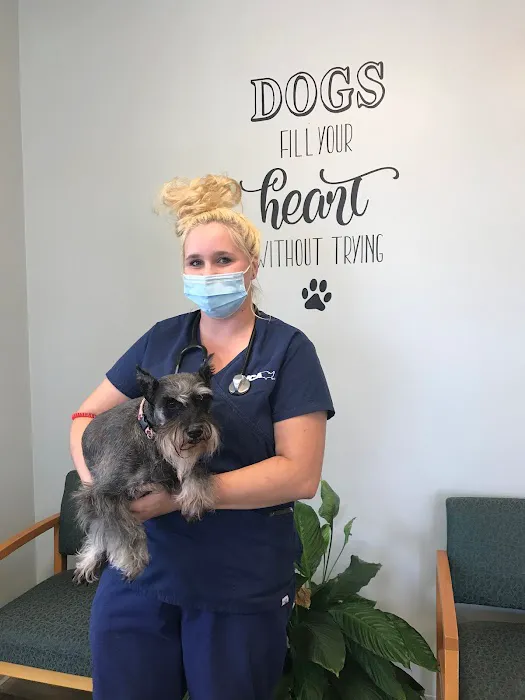 VCA Advanced Animal Hospital 4
