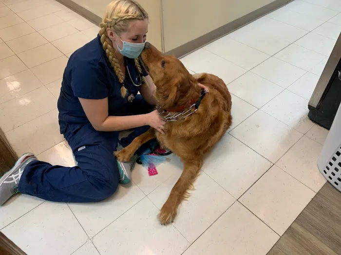 VCA Advanced Animal Hospital 6