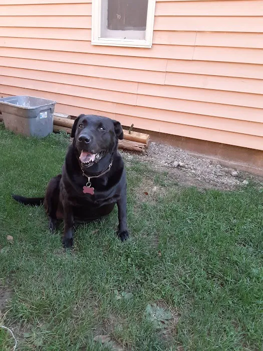 Hannibal Veterinary Clinic 7