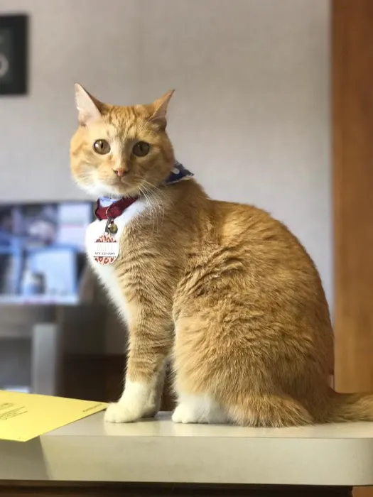Hannibal Veterinary Clinic 3