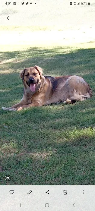Langley Animal Clinic 9