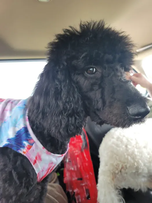 Langley Animal Clinic 3