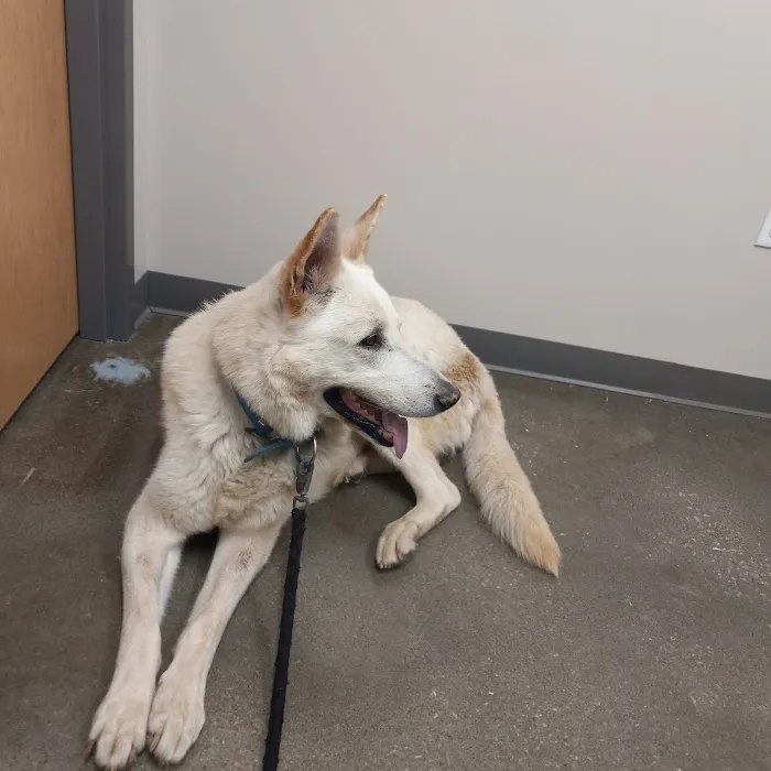 Monett Veterinary Hospital 4