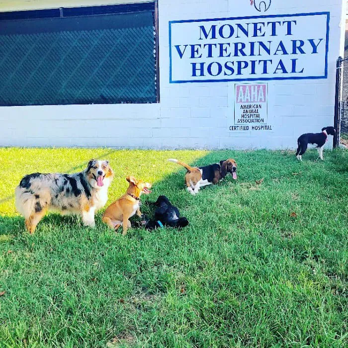 Monett Veterinary Hospital 6