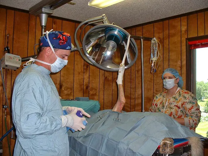 Herrin Animal Hospital 10