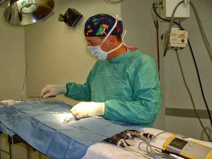 Herrin Animal Hospital 6