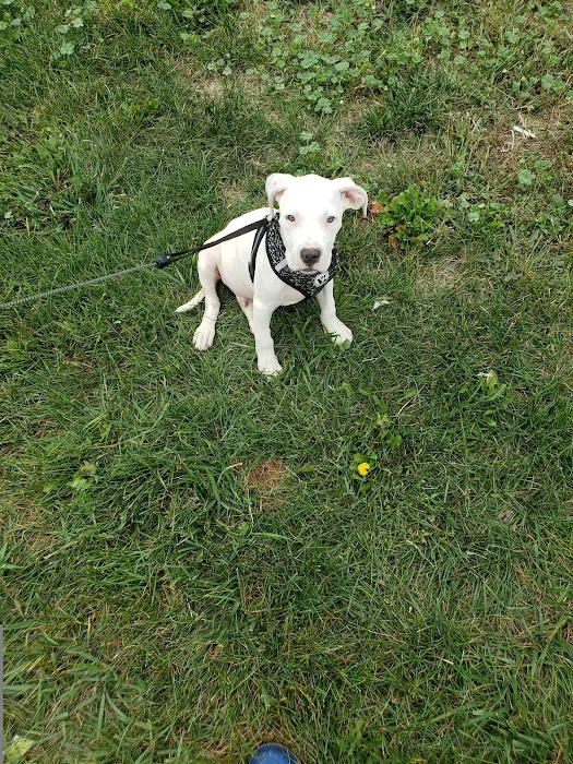 Animal Clinic of Diamond, LLC 8