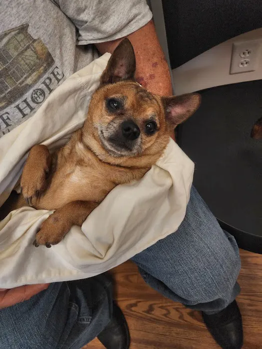 Animal Clinic of Diamond, LLC 2