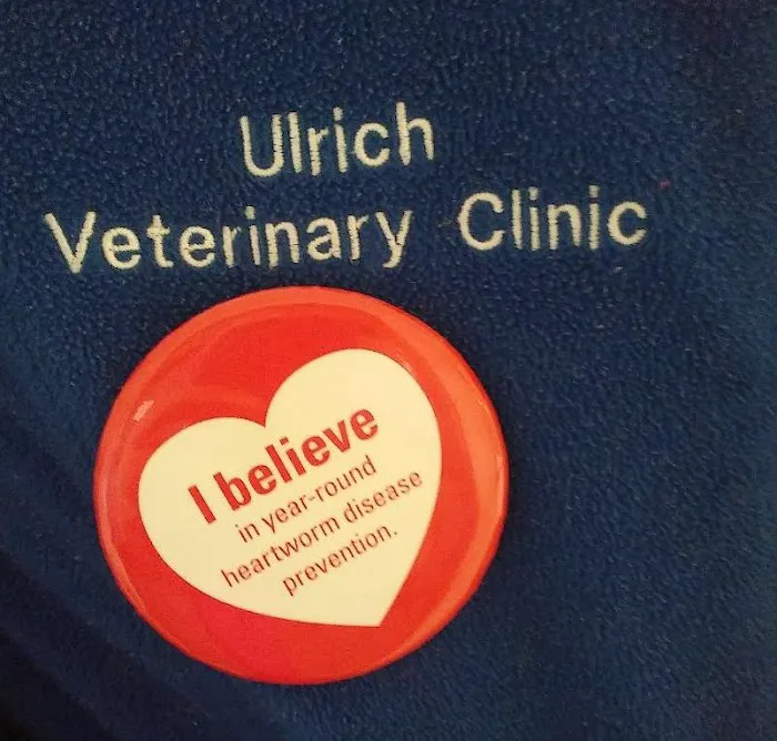 Ulrich's Veterinary Clinic 2