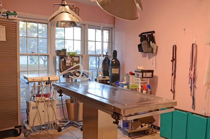 Metropolis Veterinary Clinic 2