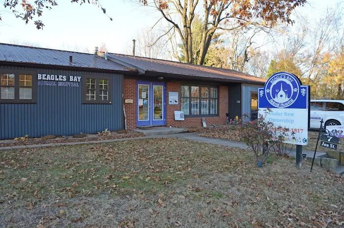 Metropolis Veterinary Clinic 6