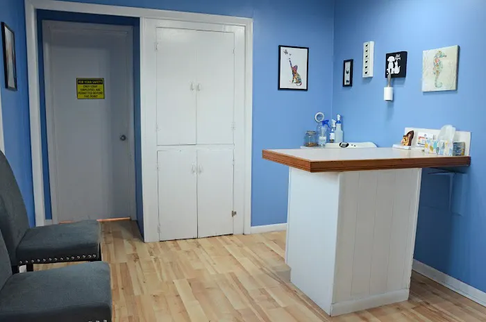 Metropolis Veterinary Clinic 3