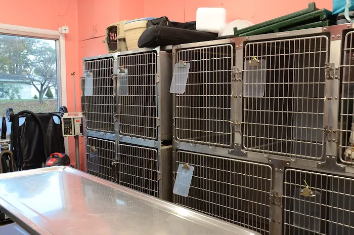 Metropolis Veterinary Clinic 5