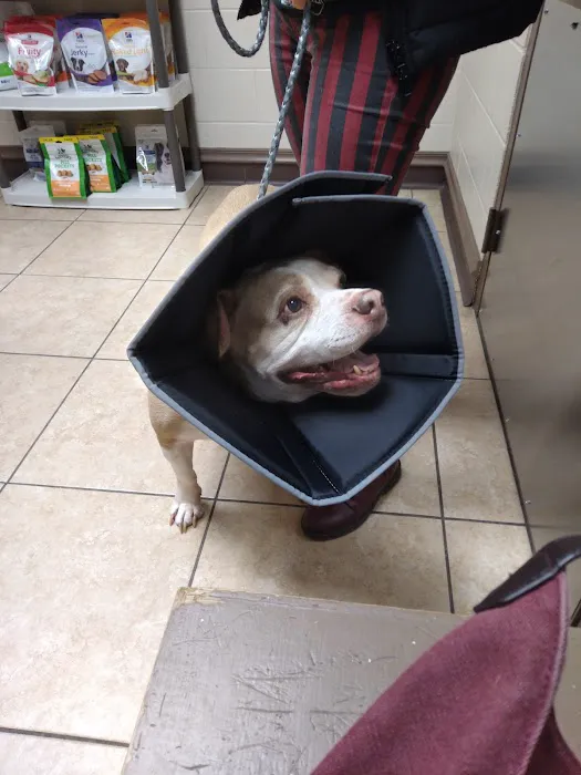 Dogwood Veterinary Hospital 7