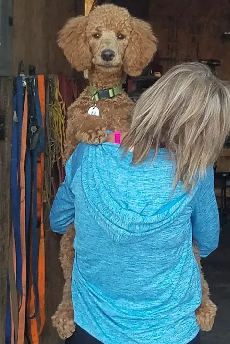 Cross Point Animal Hospital 3