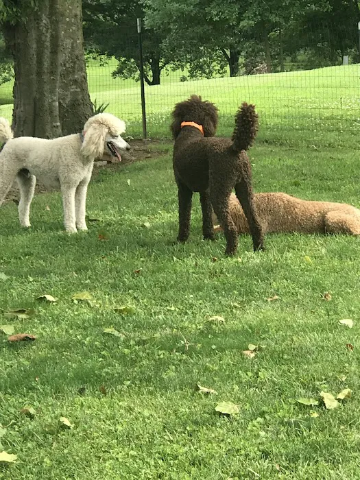 Cross Point Animal Hospital 4