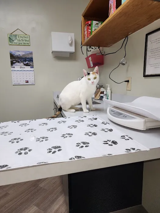 Lacroix Pet Hospital 1