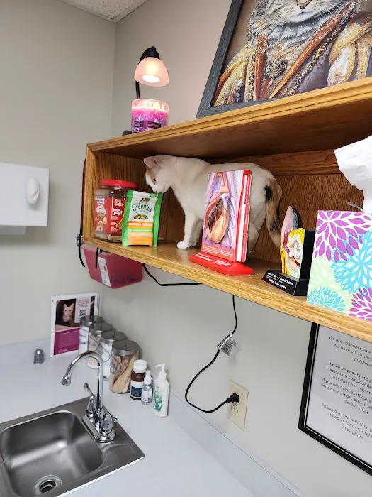 Lacroix Pet Hospital 3