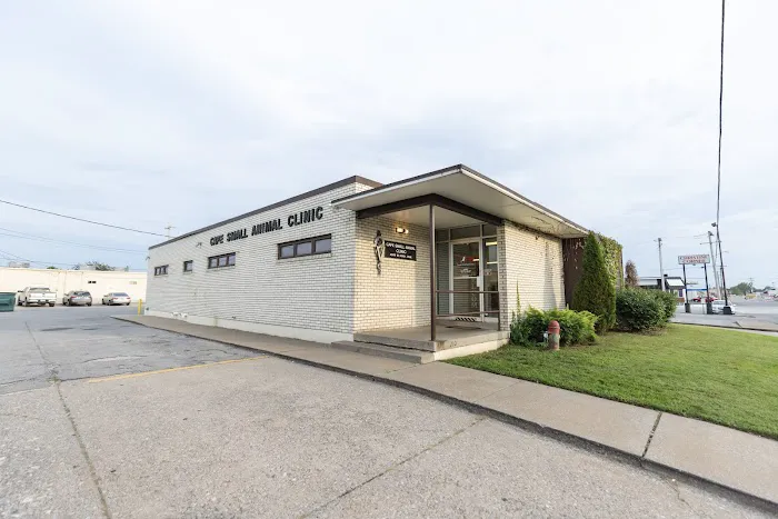 Cape Small Animal Clinic 7