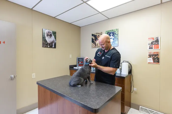Cape Small Animal Clinic 10